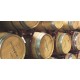 Bolgheri Rosso DOC "Pietranova 1698"
